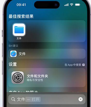 定边apple维修中心分享iPhone文件应用中存储和找到下载文件