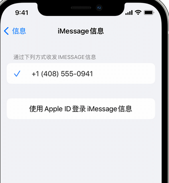 定边apple维修iPhone上无法正常发送iMessage信息 