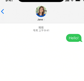 定边apple维修iPhone上无法正常发送iMessage信息