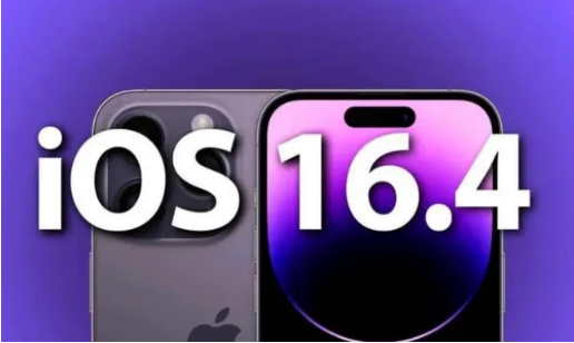 定边苹果14维修分享：iPhone14可以升级iOS16.4beta2吗？ 