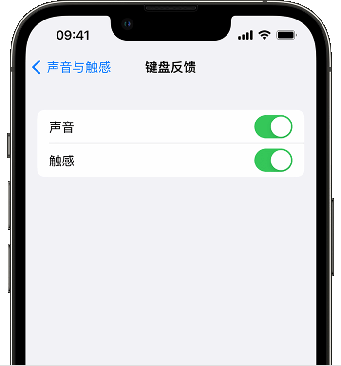 定边苹果14维修店分享如何在 iPhone 14 机型中使用触感键盘 