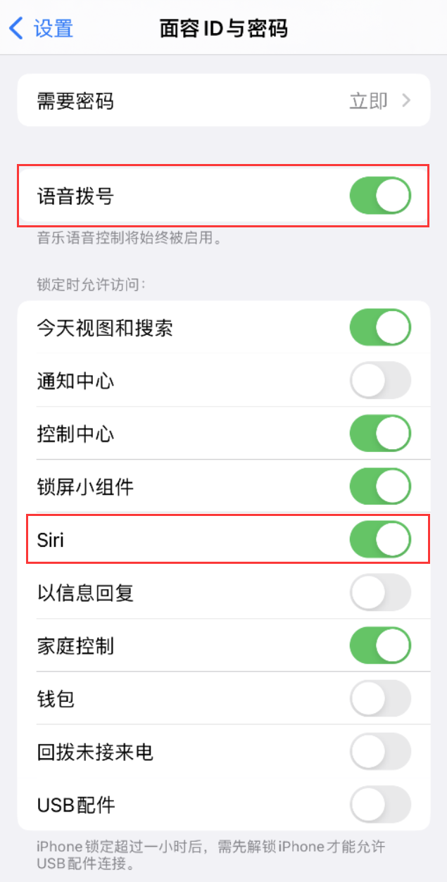 定边苹果维修网点分享不解锁 iPhone 的情况下通过 Siri 拨打电话的方法 