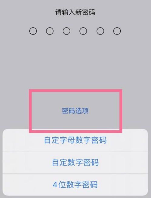 定边苹果14维修分享iPhone 14plus设置密码的方法 