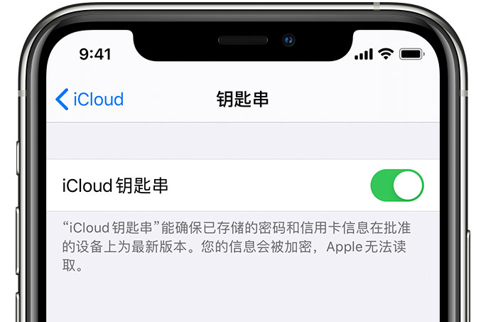 定边苹果手机维修分享在 iPhone 上开启 iCloud 钥匙串之后会储存哪些信息 