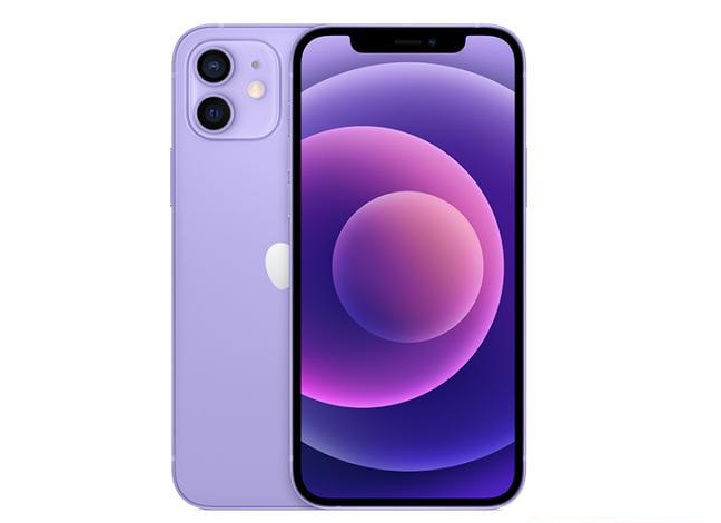 定边苹果手机维修分享现阶段要不要入手紫色版iPhone12 