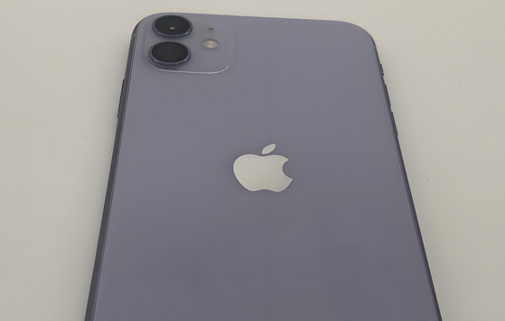 定边苹果11系统维修分享iPhone11手机系统崩溃无法开机如何解决 